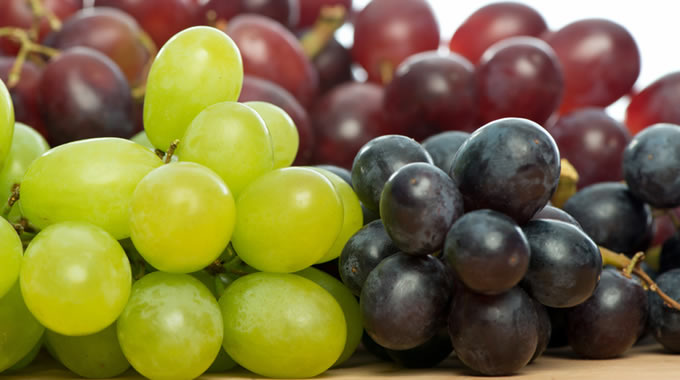 Exportation de Fruits Cape Town